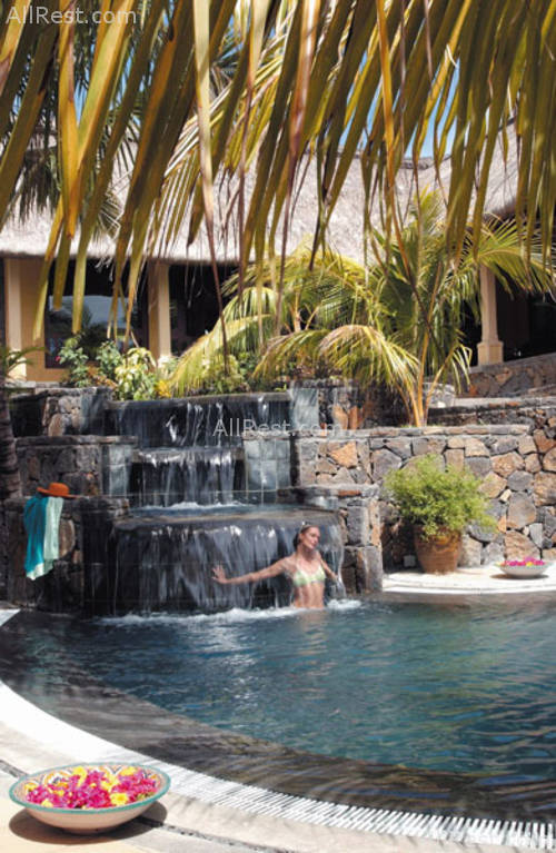 Royal Palm 20